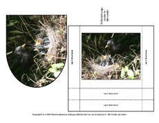 Amsel-Merkzettel-1.pdf